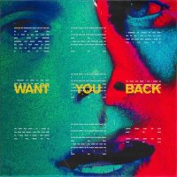 5 Seconds Of Summer - Want You Back