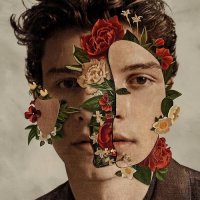 Shawn Mendes - Perfectly Wrong