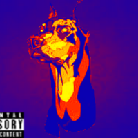 Shopot - Доберман