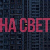 дима бамберг (Schokk) - истоптанные вансы