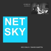 Netsky & David Guetta - Ice Cold (Original Mix)