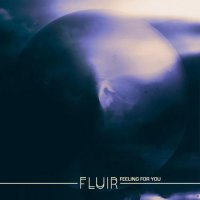 Fluir - Feeling For You