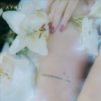 Луна - Ночной визит