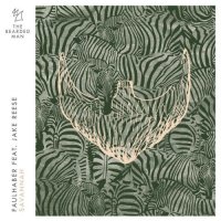 Faulhaber feat. Jake Reese - Savannah