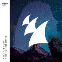 Adam K & Soha - Need To Feel Loved