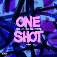 Bria Lee feat. Fat Joe & Pitbull - One Shot (Remix)