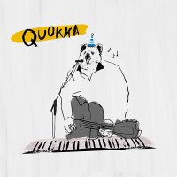Quokka(쿼카) - 이런것
