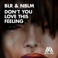 BLR & NBLM - Don't You Love This Feeling