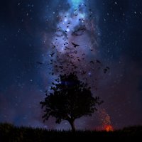 MAY WAVE$ - SENORITA